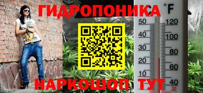 прущие крисы Ипатово