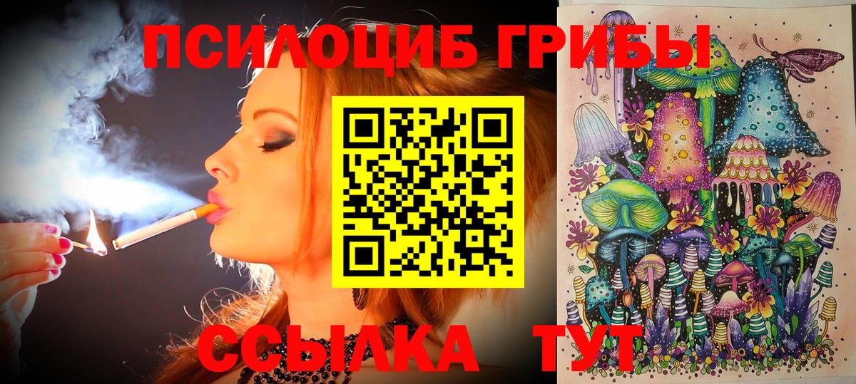 наркотики  Псилоцибиновые грибы Magic Shrooms  Вход с VPN  Долгопрудный 